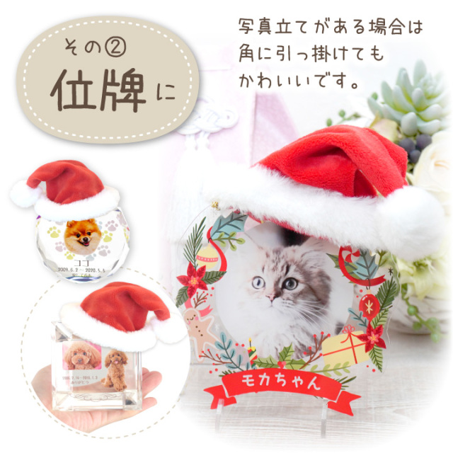 クリスマス サンタ ネコ ふわふわ ファンシー クリスマス サンタ ネコ ふわふわ ファンシー