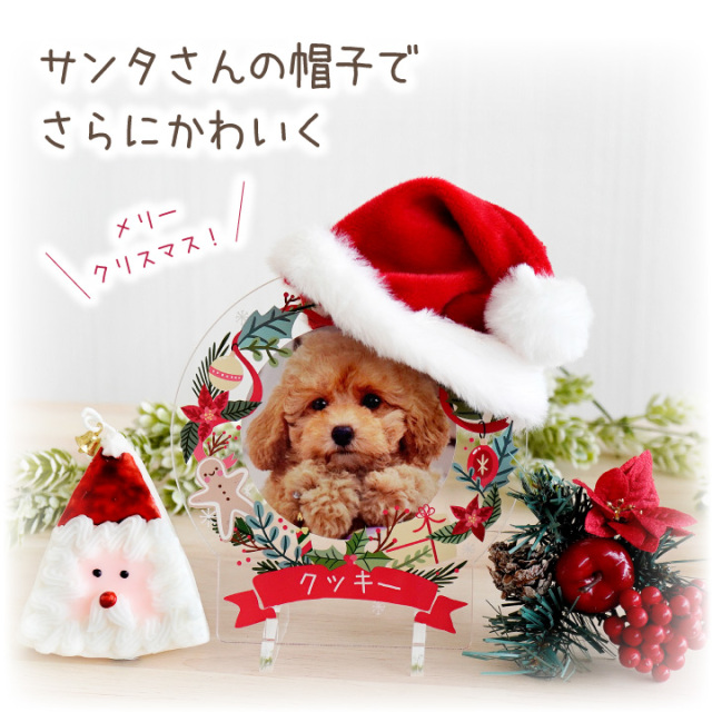 ペット供養 クリスマス 選べる サンタクロース キャンドル