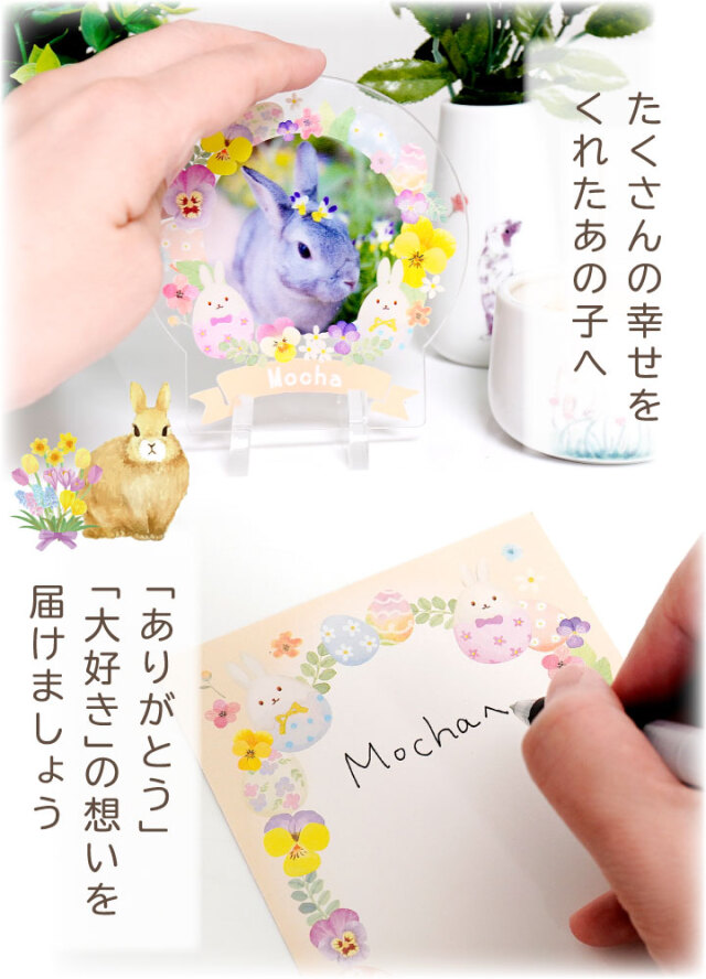 ペット仏具 うさぎ お供え セット 写真 プレート & お焚き上げ