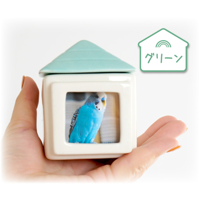 ミニブタ（ポットベリー・ピッグ ）頭骨（大）オス ★ NO.2 ペット おうち型 家型 ミニ骨壷 ミニ骨壺 シリコン付 パッキン 約2寸