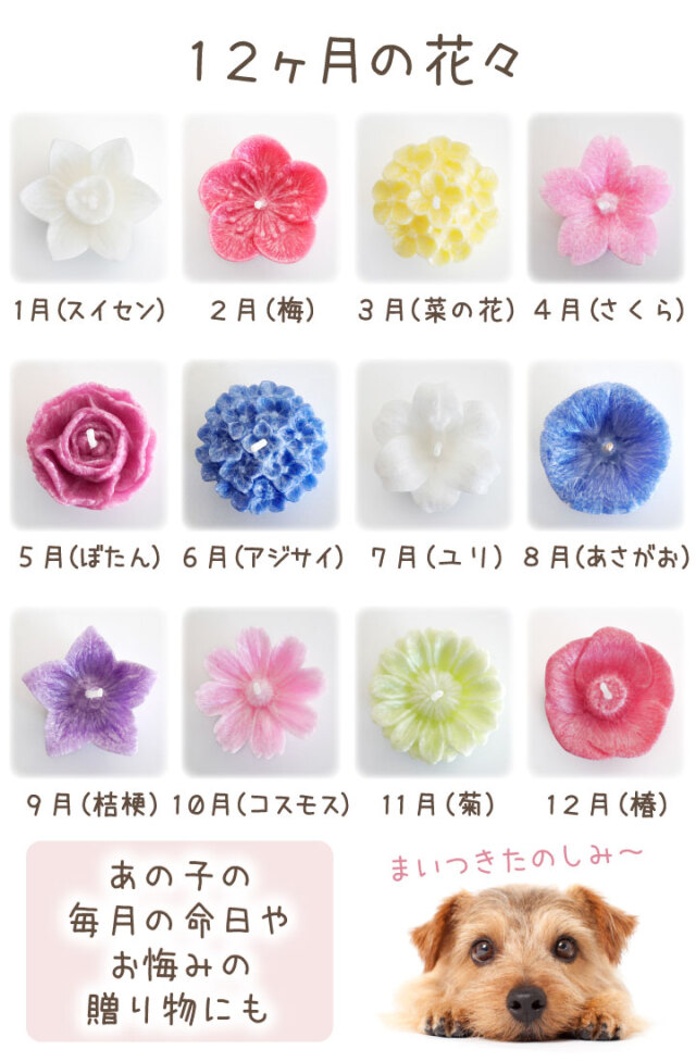 ペット供養 キャンドル 花づくし ペット仏壇 仏具 骨壷 位牌のディアペット