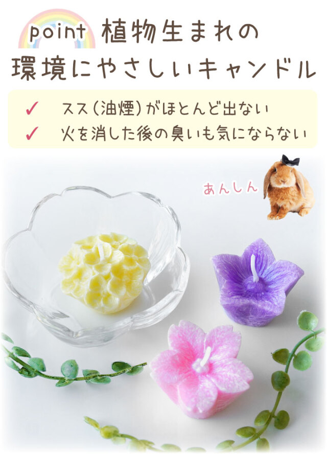 龍脈の精髄 ― ガーデンクォーツ × 植物ペンダント 保護猫活動支援 龍脈の精髄 ― ガーデンクォーツ × 植物ペンダント 保護猫活動支援 銅