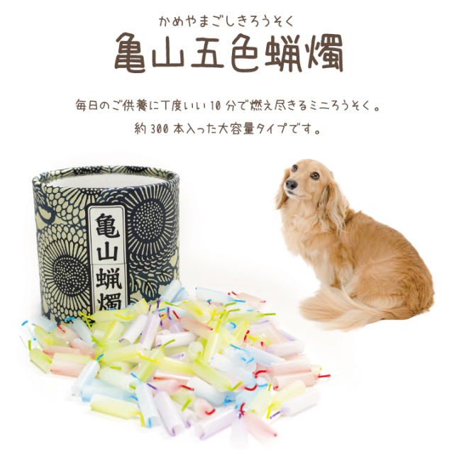 ペット仏具 亀山五色蝋燭