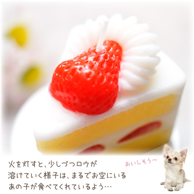 ペット仏具 ろうそく ショートケーキ－ ペット仏壇・仏具・骨壷・位牌