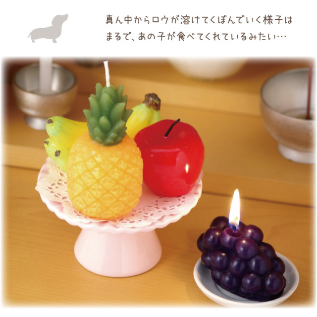ペット仏具 フルーツ 詰合せ キャンドル ロウソク ろうそく カメヤマ