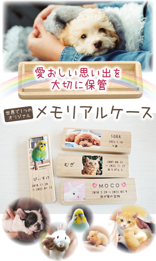 ペット 写真 入り 犬 猫 遺毛 ひげ 遺品 大サイズ 国産 桐製 名入れ 猫