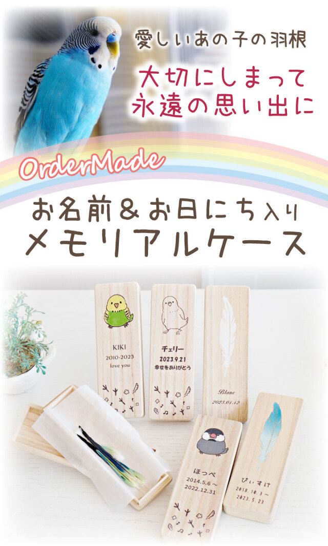 クーポンで10%OFF】インコ 鳥 とり 羽根 羽 ケース 国産 木製 名入れ