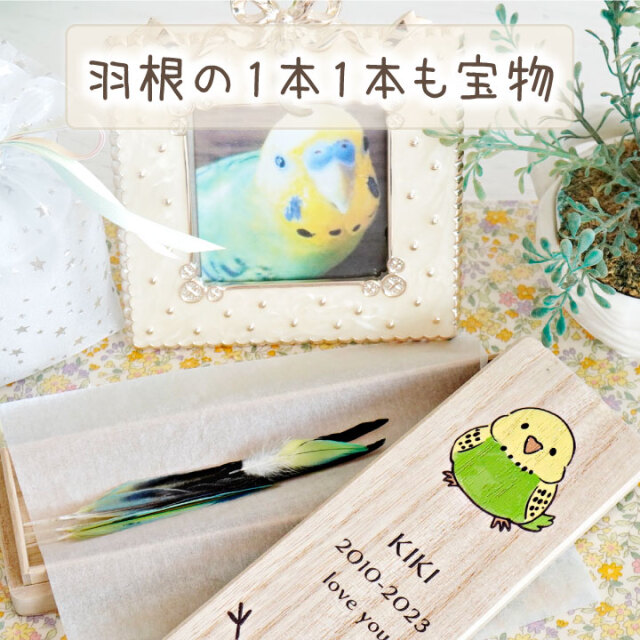 インコ 鳥 とり 羽根 羽 ケース 国産 木製 名入れ 防湿 抗菌 防腐 文鳥 