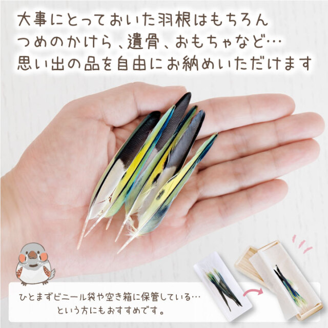 インコ 鳥 とり 羽根 羽 ケース 国産 木製 名入れ 防湿 抗菌 防腐 文鳥