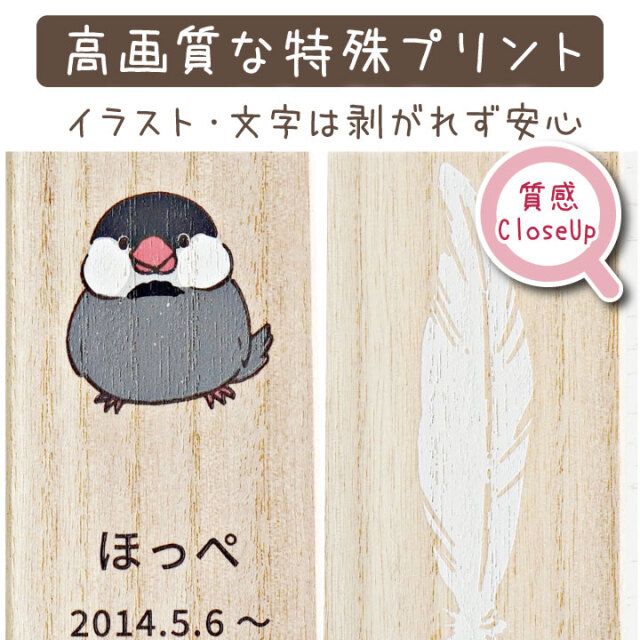 クーポンで10%OFF】インコ 鳥 とり 羽根 羽 ケース 国産 木製 名入れ