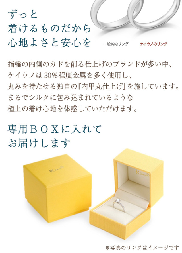 ペット 遺骨 リング 指輪 クオーリア シグネット RS-673 Cuoria Signet