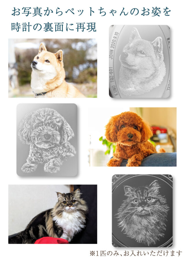 ペット 写真から作る 腕時計 写真 彫刻 リベローレ オーバル