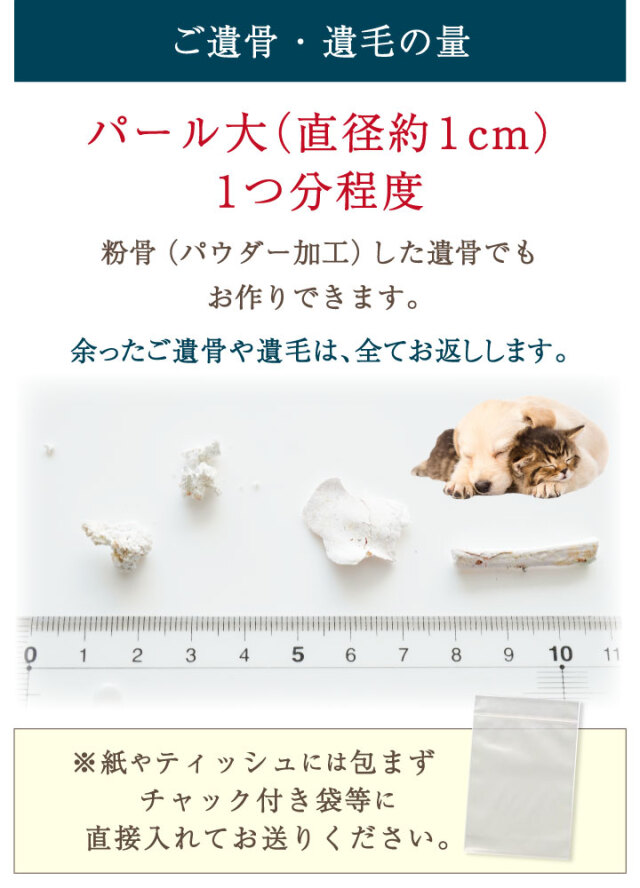 ペット 遺骨 リング 指輪 写真 彫刻 クオーリア シグネット RS-673