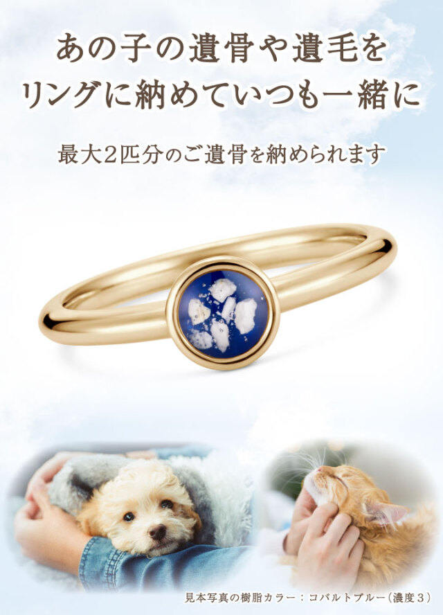ペット 遺骨 リング 指輪 名入れ クオーリア ラウンド Cuoria Round