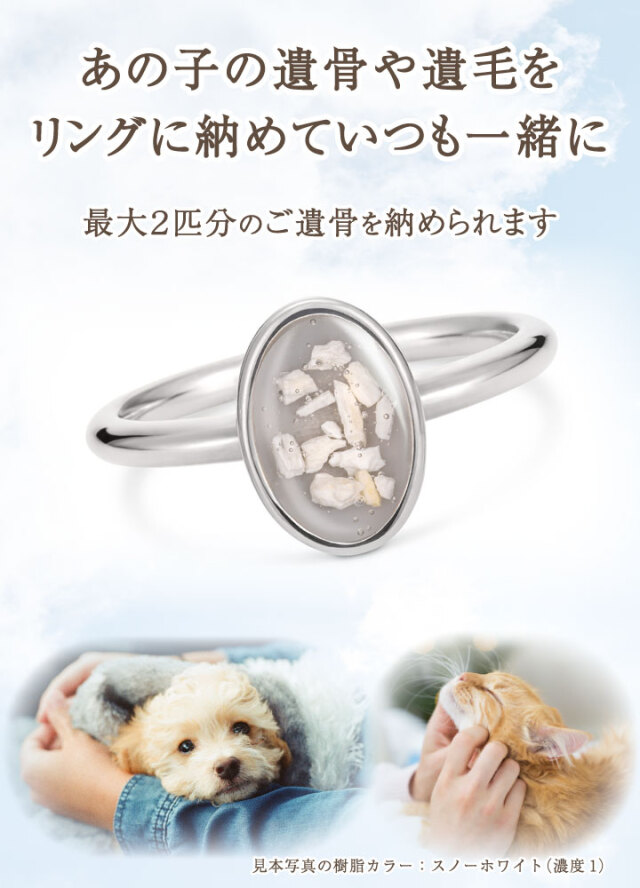 ペット 遺骨 リング 指輪 名入れ クオーリア オーバル Cuoria Oval- RS