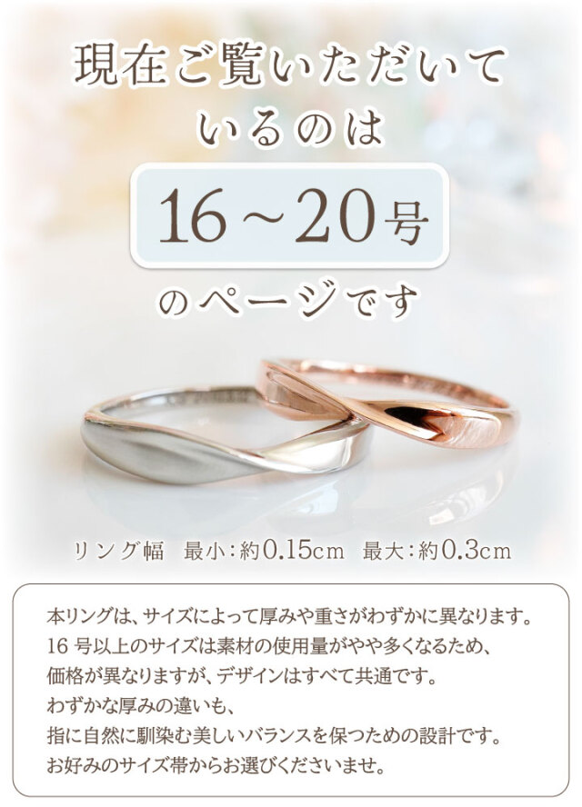 ペット 遺骨 リング 指輪 DEAR ディア 