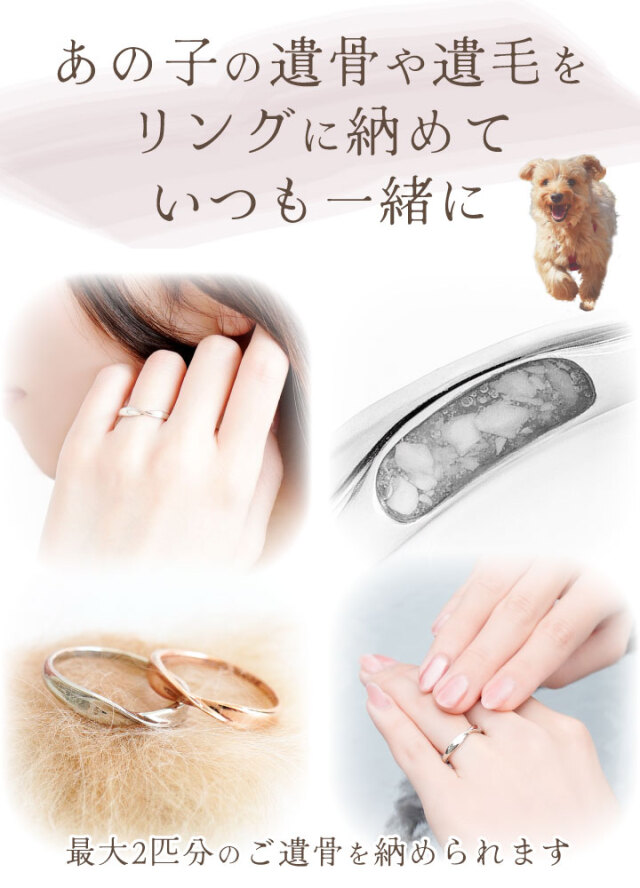 ペット 遺骨 リング 指輪 DEAR ディア 