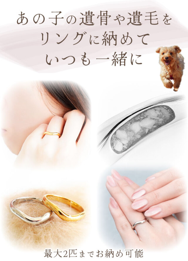 いぬごろう　リング4点 いぬごろう リング4点 いぬごろう様専用 リング4点 SUO RING for dogs