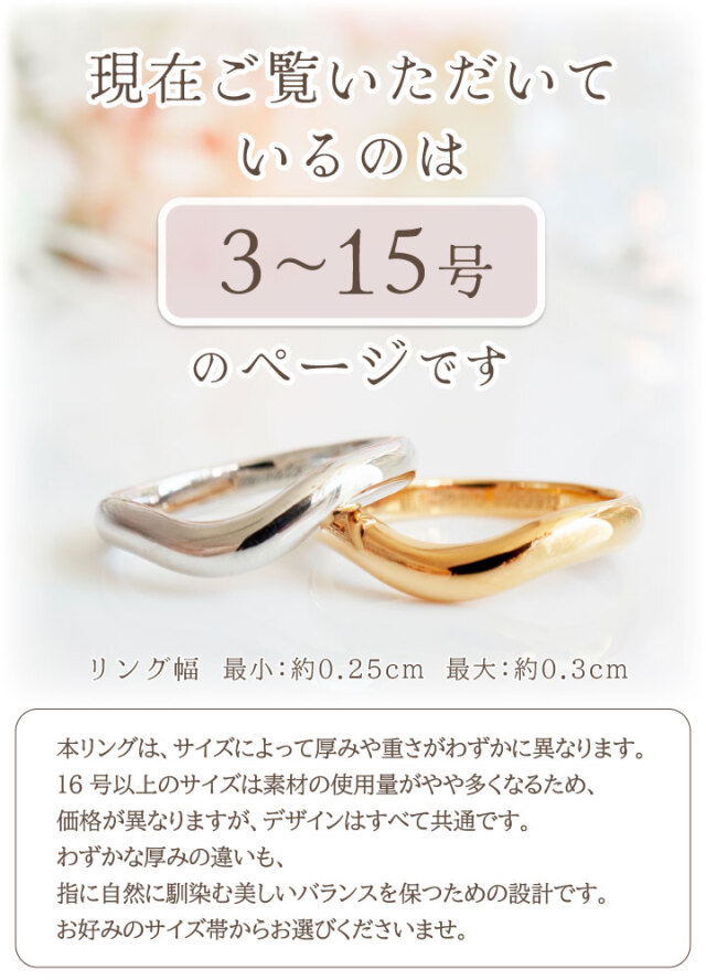 ペット 遺骨 リング 指輪 DEAR ディア 