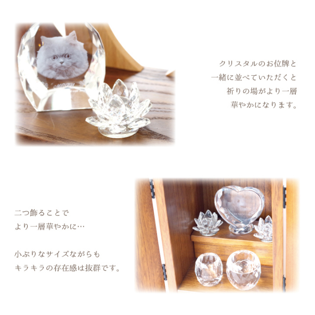 コレットマルーフ　クリスタルフラワー colette malouf/Mesh Flower】コレットマルーフのシグネチャー