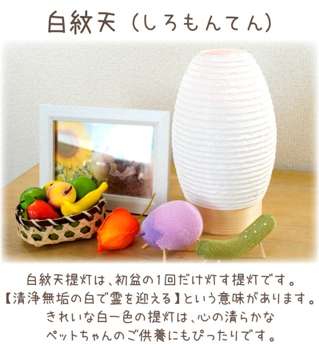 10％ポイント還元】ペット用 新盆用 盆提灯 白紋天 提灯 ライト