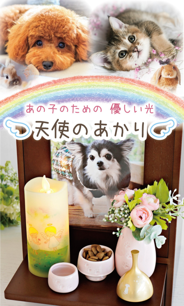 ペット仏具 LED キャンドル 天使のあかり いろはあかり 虹の橋 電池式