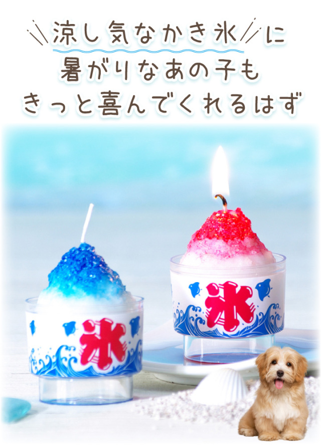 【アイスランド購入】パフィンのキャンドルオブジェ Amazon.co.jp: アイスランドのパフィンカレンダー 2024 : 文房具