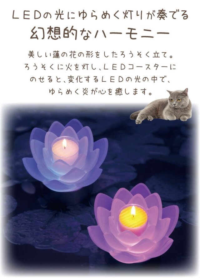 キャンドル ロータスグレイス － ペット仏壇・仏具・骨壷・位牌の