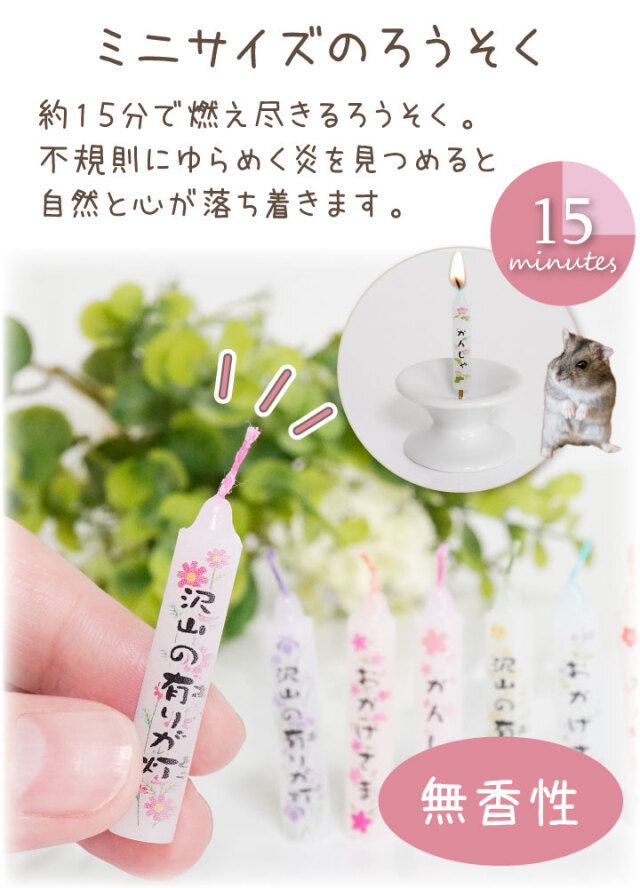 ペット供養 沢山の有りが灯 ろうそく & お線香 お悔み ギフト セット