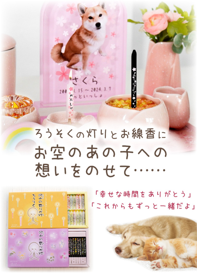 ペット供養 沢山の有りが灯 ろうそく & お線香 お悔み ギフト セット 