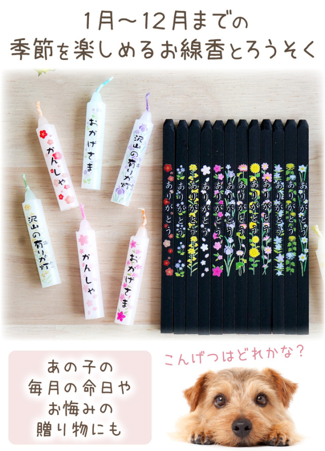 ペット供養 沢山の有りが灯 ろうそく & お線香 お悔み ギフト セット 