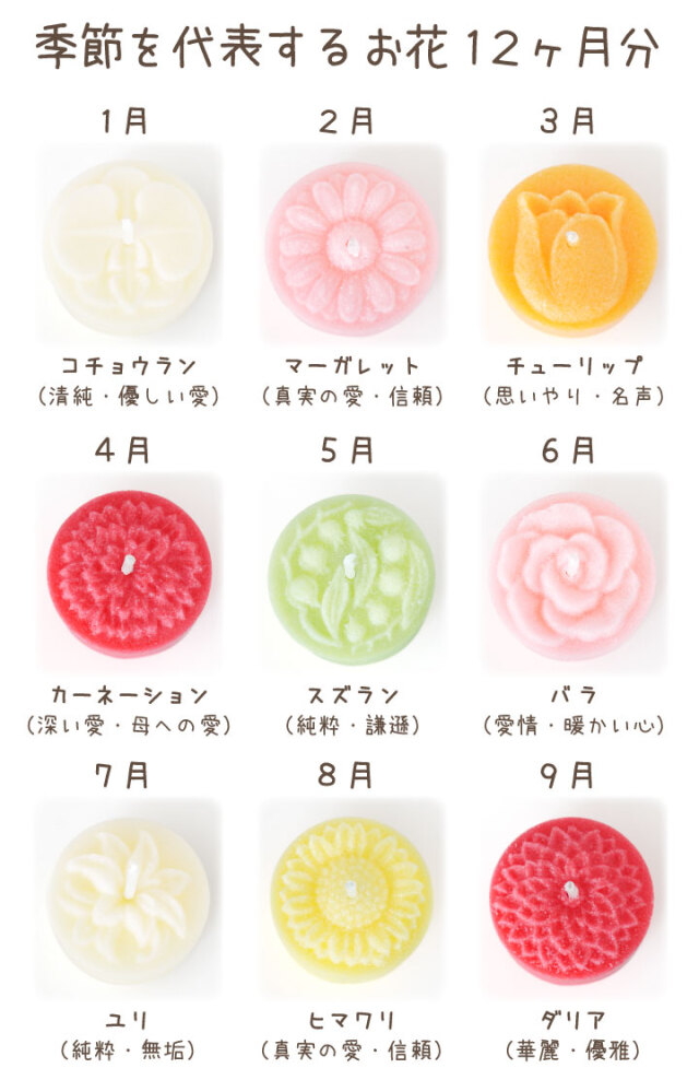 ろうそく 花暦（はなごよみ）12種セット