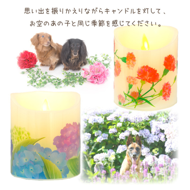 ペット仏具 電池式 LED キャンドル 灯ととなり 専用 着せ替え デザイン
