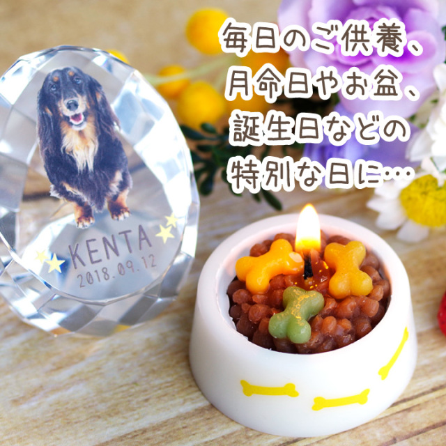 ペット ごはんキャンドル おかわり用 詰替 詰め替え わんちゃん ねこ