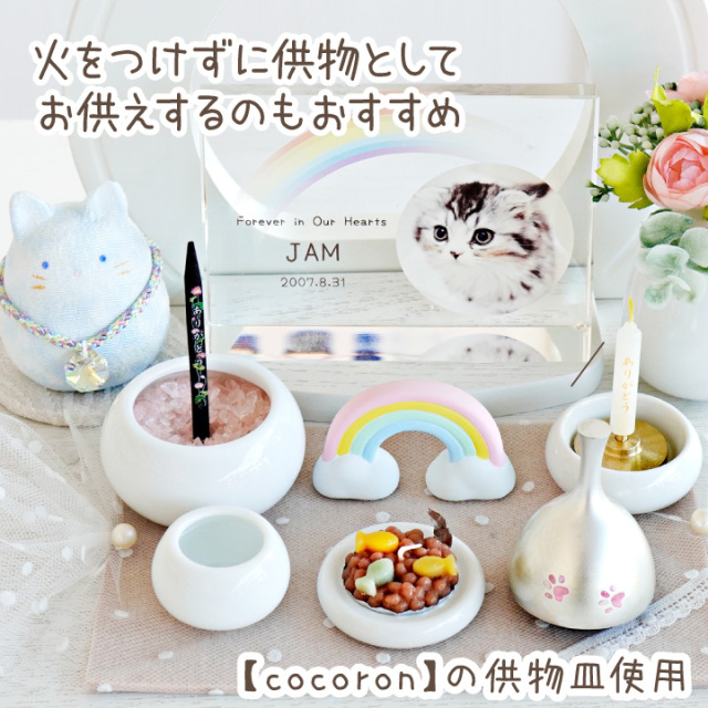 ペット ごはんキャンドル 本体 & おかわり用 詰替 セット わんちゃん