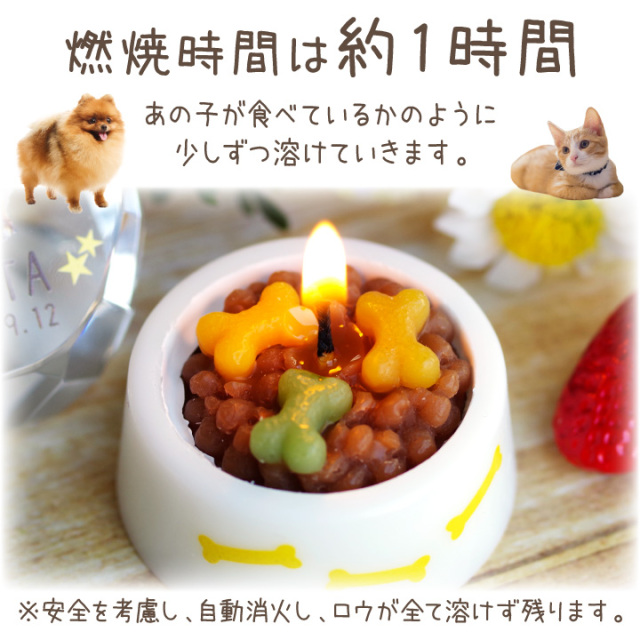ペット ごはんキャンドル おかわり用 詰替 詰め替え わんちゃん