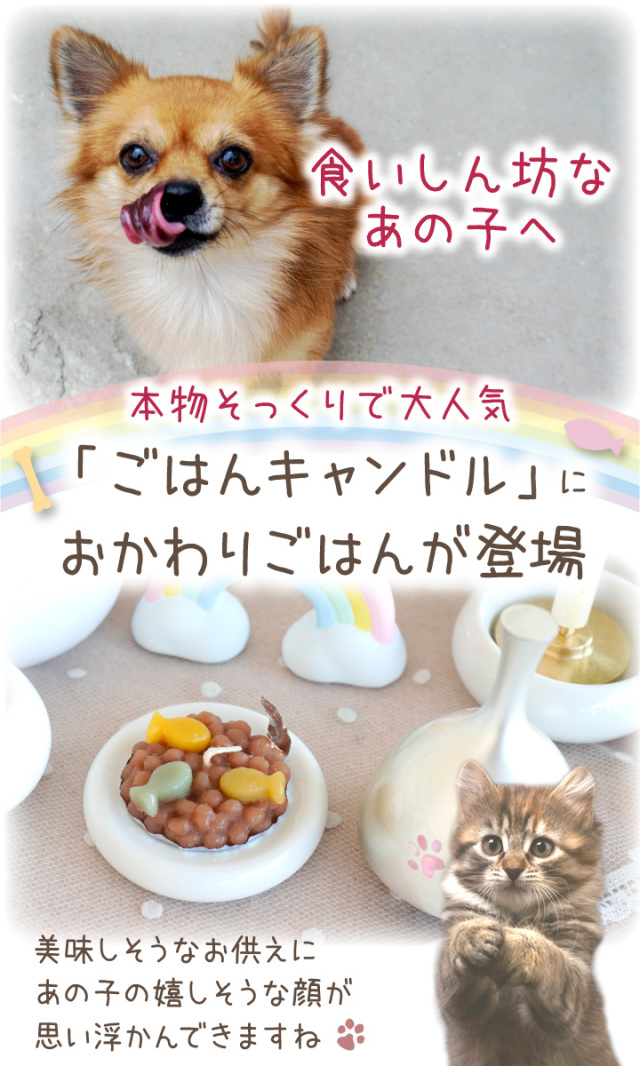 ペット ごはんキャンドル おかわり用 詰替 詰め替え わんちゃん ねこ