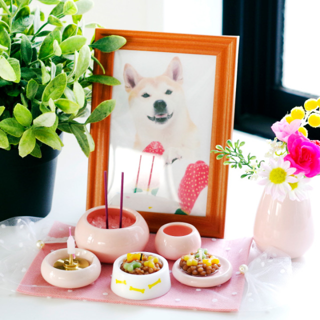 ペット ごはんキャンドル 本体 & おかわり用 詰替 セット わんちゃん