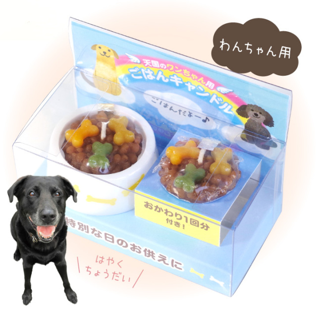 ペット ごはんキャンドル わんちゃん ねこちゃん 本物そっくり
