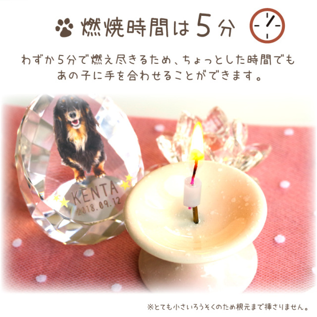 ペット ろうそく 超ミニ寸 約5分燃焼 ロウソク ローソク カラフル 虹の橋 白芯 ネコポス対応