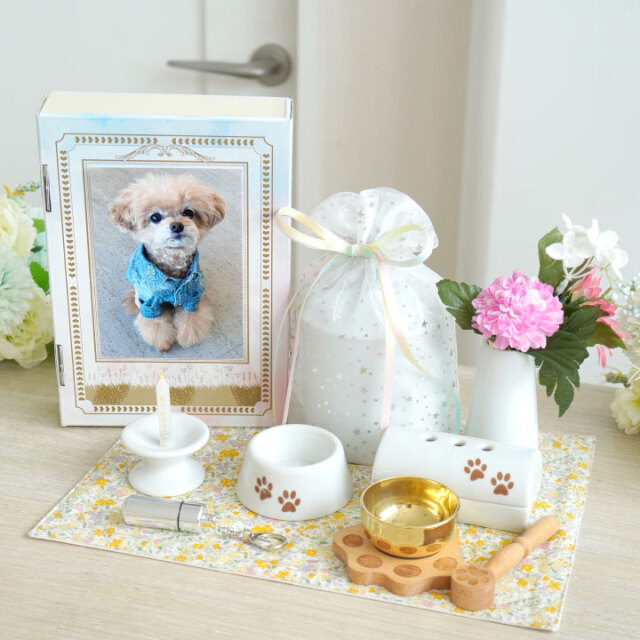 ペット用 ペット 虹の橋 のおくりもの エンゼルケア セット BOX入り