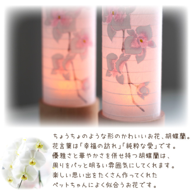 ペット お盆 提灯 蘭 蓮 LED 単品 1点 国産 コードレス式