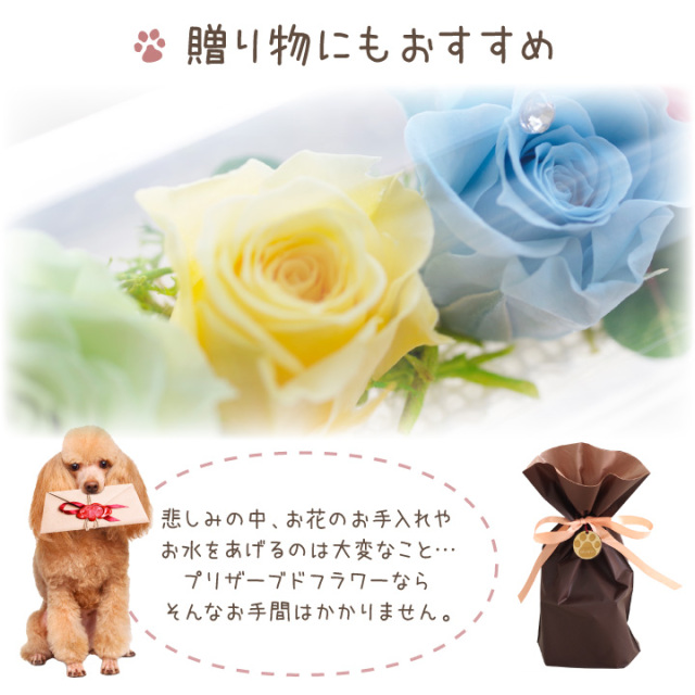 ペット お悔やみ プリザ 虹の橋 グラス ローズ プリザーブドフラワー ｓ