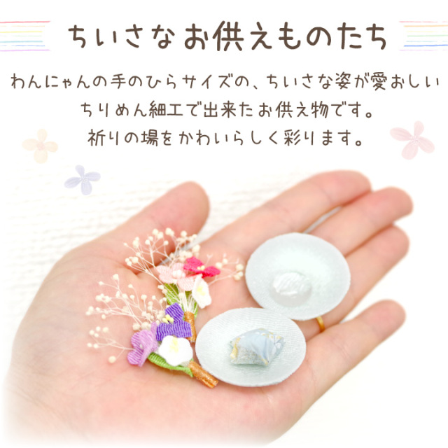 うーちゃん　手のひらペット うーちゃん様専用 手のひらペット