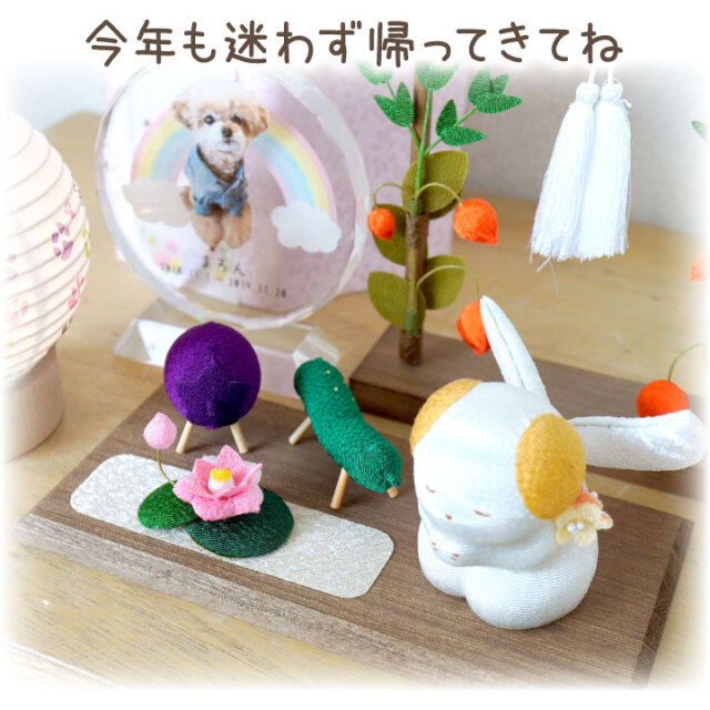 ペット仏具 お祈り天使 & ちょうちん ちりめん 枠飾り セット いぬ