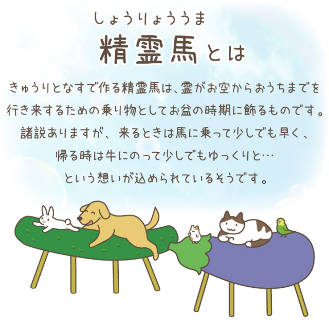 ペット用 お盆供養 精霊馬 本格 まこも製 お盆飾り 初盆 新盆
