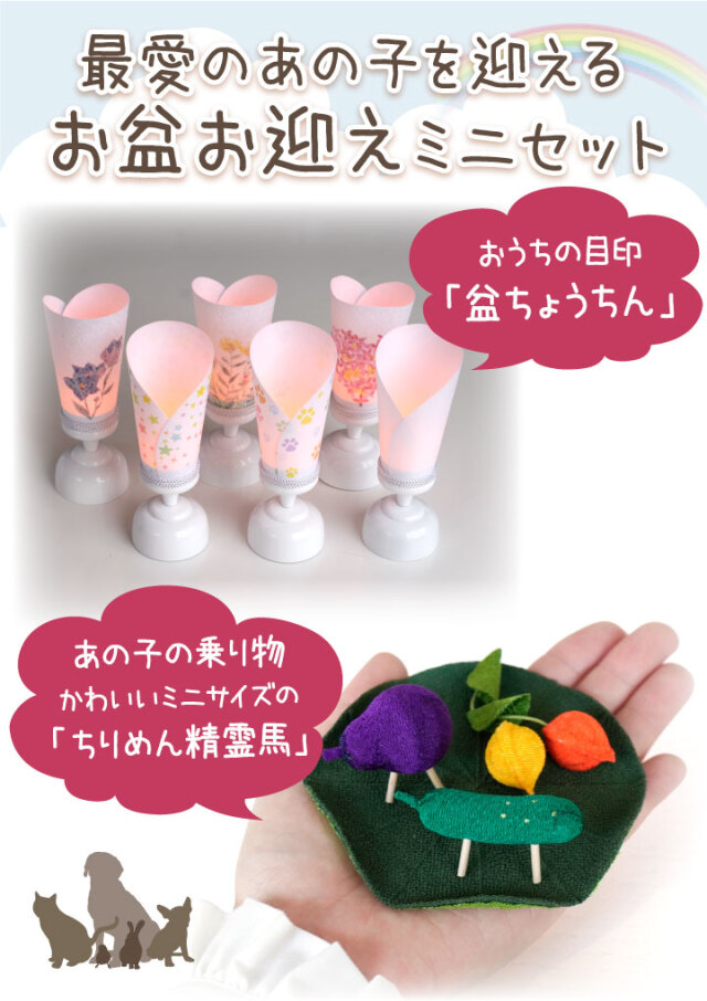 木彫りお盆20  紅葉　5枚セット 紅葉(出猩々) もみじ モミジ 中品盆栽 (樹高40cm・幹元径5cm) 太根