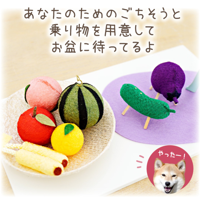 ペット用 パステル ちょうちん フルーツ 精霊馬 ミニ セット お盆飾り