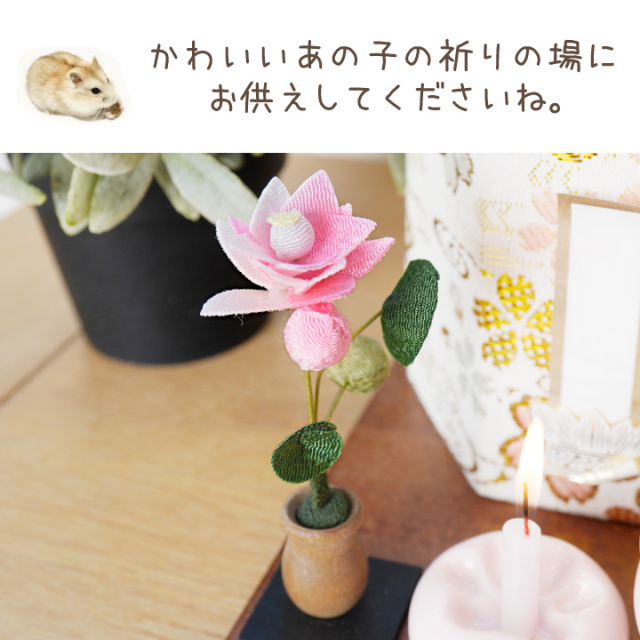 ペット用 ちりめん 蓮の花 お飾り オブジェ 置物 ミニ 小さい