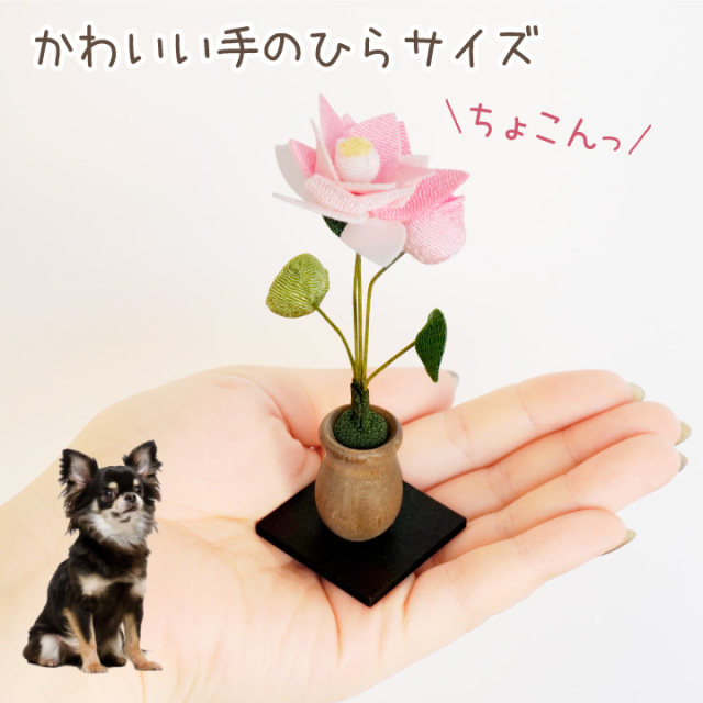 ♕* 大きな蓮の 大きめ仏花 ♤* ペットお供えにも♪ 造花   花器付き ♧* ペット用 ちりめん 蓮の花 お飾り オブジェ 置物 ミニ 小さい